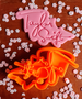 Talor Swift Logo Cookie Cutter & Embosser