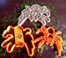 Tarantula Spider Cookie Cutter