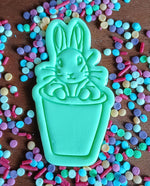 Peter Rabbit Pot Cookie Cutter